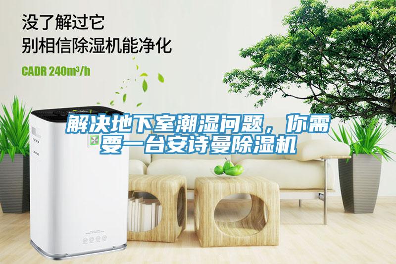 解决地下室潮湿问题，你需要一台猫咪成人在线视频猫咪成人官网