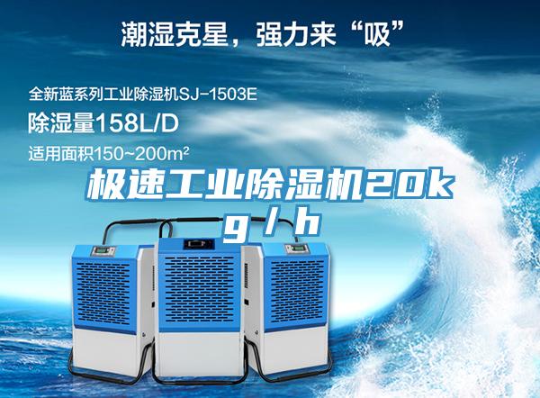 极速工业猫咪成人官网20kg／h
