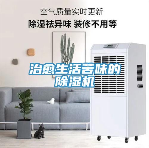 治愈生活苦味的猫咪成人官网