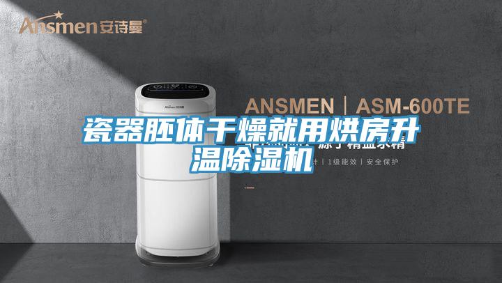 瓷器胚体干燥就用烘房升温猫咪成人官网