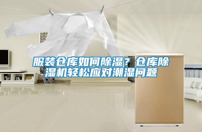 服装仓库如何除湿？仓库猫咪成人官网轻松应对潮湿问题