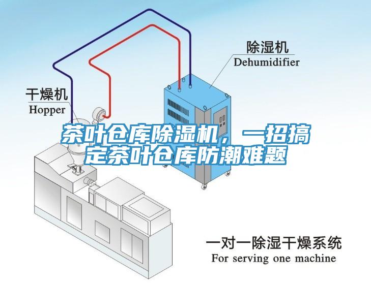 茶叶仓库猫咪成人官网，一招搞定茶叶仓库防潮难题