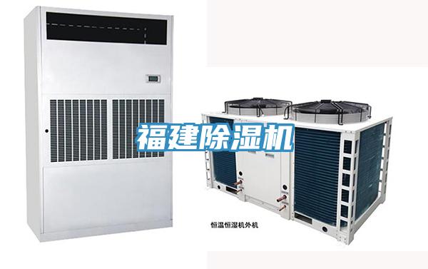 福建猫咪成人官网