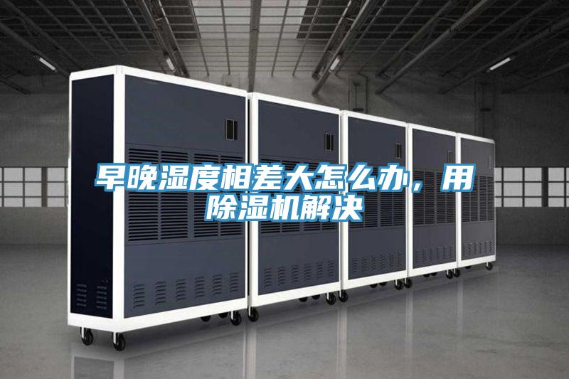 早晚湿度相差大怎么办，用猫咪成人官网解决