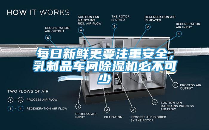 每日新鲜更要注重安全，乳制品车间猫咪成人官网必不可少