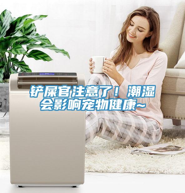 铲屎官注意了！潮湿会影响宠物健康~
