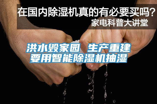 洪水毁家园 生产重建要用智能猫咪成人官网抽湿