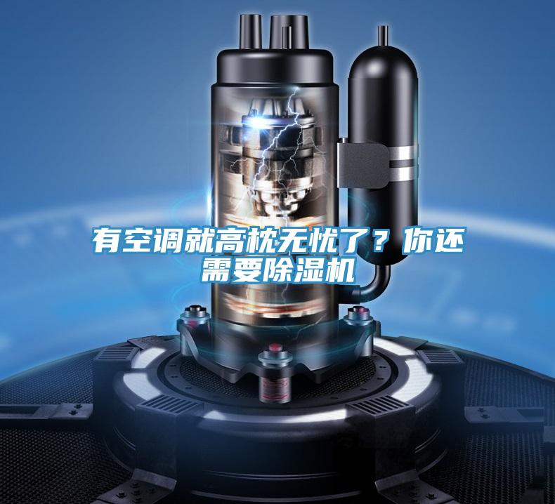 有空调就高枕无忧了？你还需要猫咪成人官网