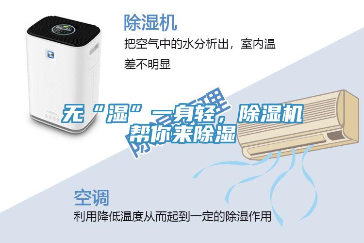 无“湿”一身轻，猫咪成人官网帮你来除湿