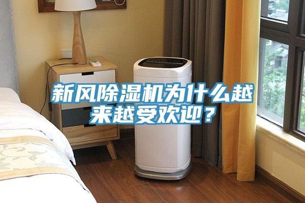新风猫咪成人官网为什么越来越受欢迎？