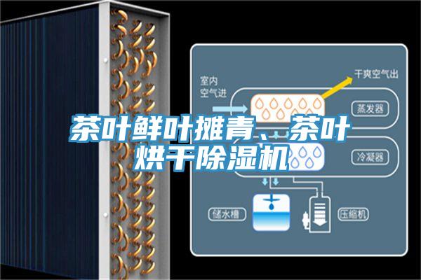 茶叶鲜叶摊青、茶叶烘干猫咪成人官网
