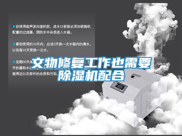 文物修复工作也需要猫咪成人官网配合