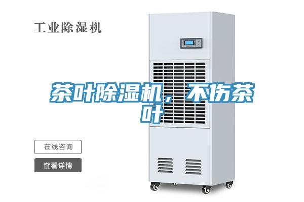 茶叶猫咪成人官网，不伤茶叶