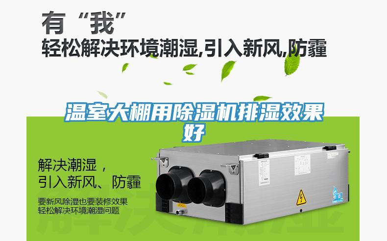 温室大棚用猫咪成人官网排湿效果好
