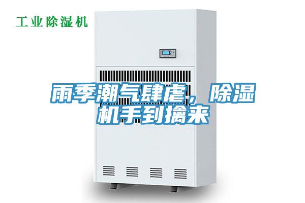 雨季潮气肆虐，猫咪成人官网手到擒来