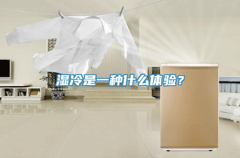 湿冷是一种什么体验？