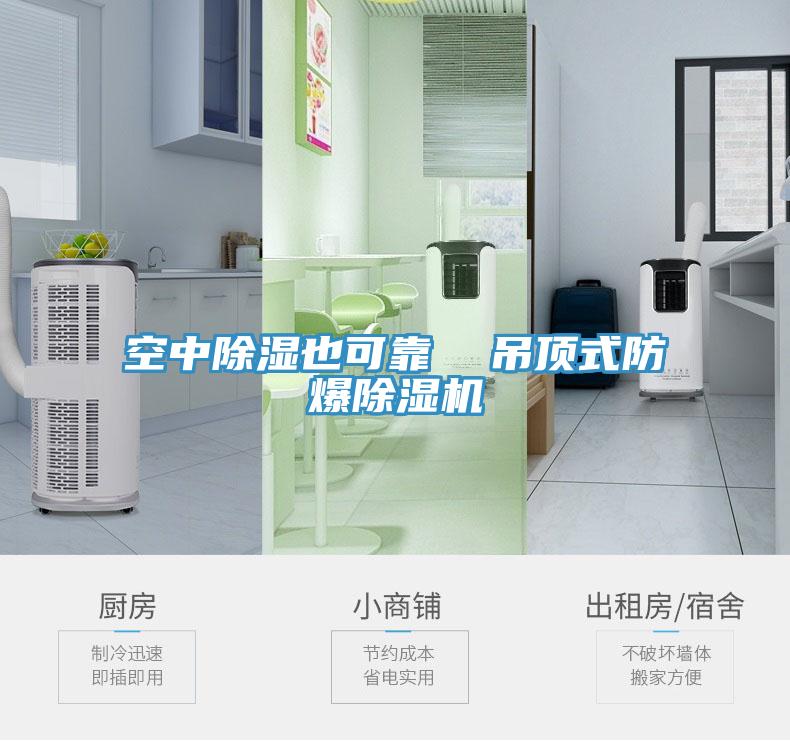 空中除湿也可靠  吊顶式防爆猫咪成人官网