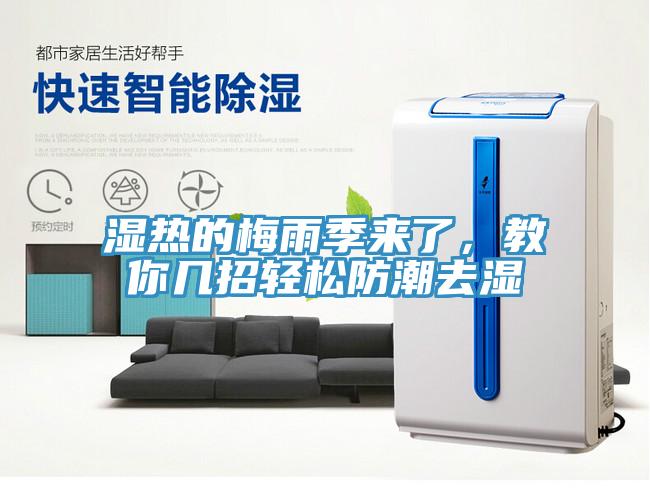 湿热的梅雨季来了，教你几招轻松防潮去湿