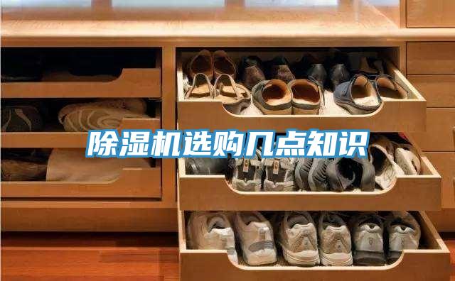 猫咪成人官网选购几点知识