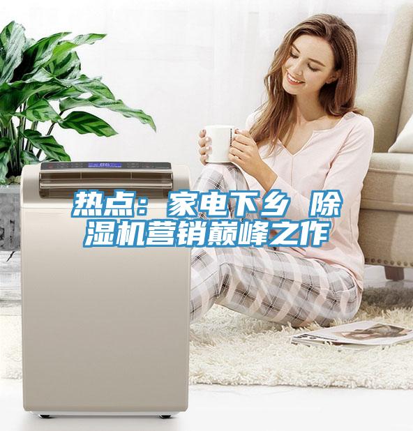 热点：家电下乡 猫咪成人官网营销巅峰之作