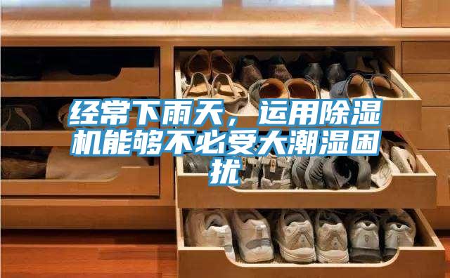 经常下雨天，运用猫咪成人官网能够不必受大潮湿困扰