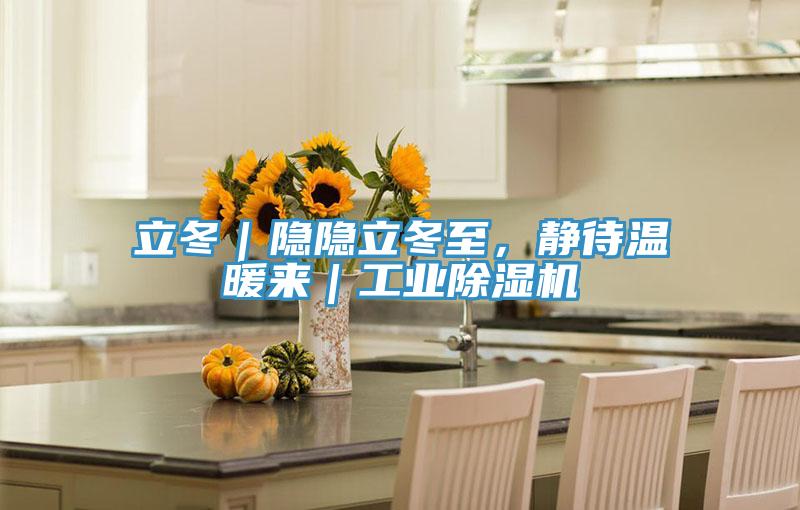 立冬｜隐隐立冬至，静待温暖来｜工业猫咪成人官网