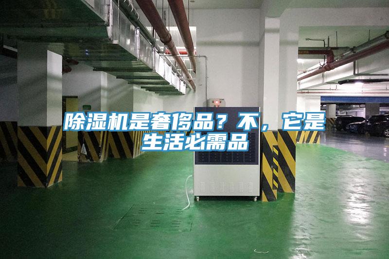 猫咪成人官网是奢侈品？不，它是生活必需品