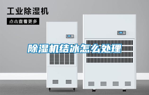 猫咪成人官网结冰怎么处理