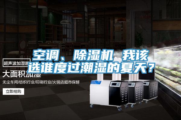 空调、猫咪成人官网 我该选谁度过潮湿的夏天？