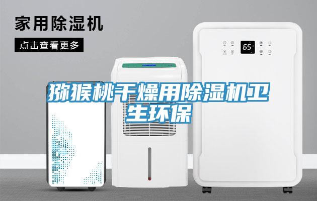 猕猴桃干燥用猫咪成人官网卫生环保