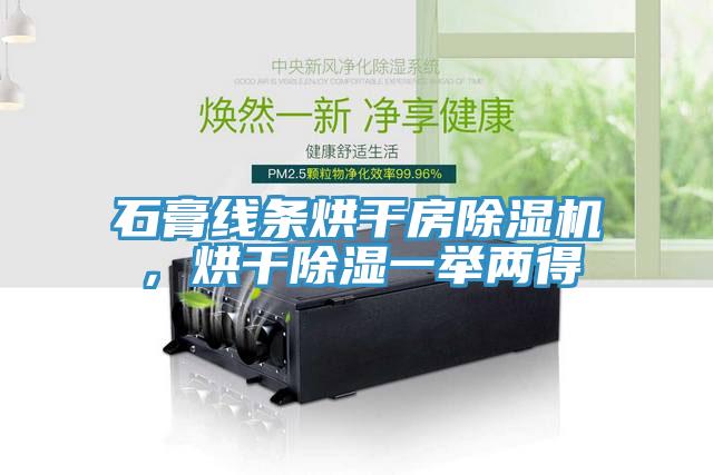 石膏线条烘干房猫咪成人官网，烘干除湿一举两得