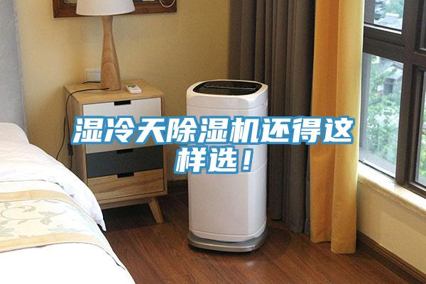 湿冷天猫咪成人官网还得这样选！