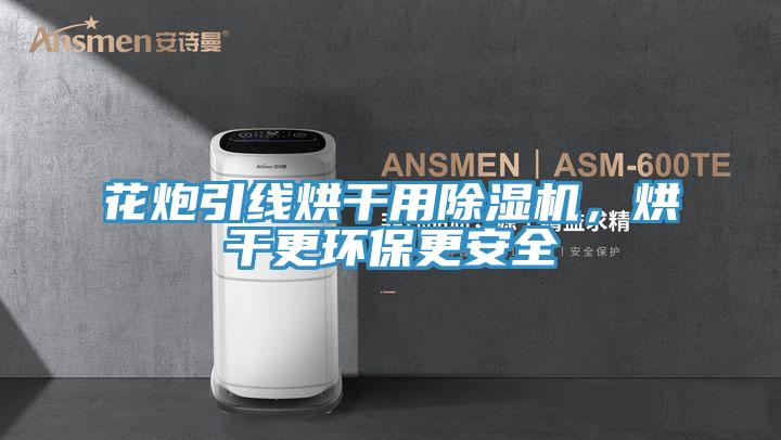 花炮引线烘干用猫咪成人官网，烘干更环保更安全