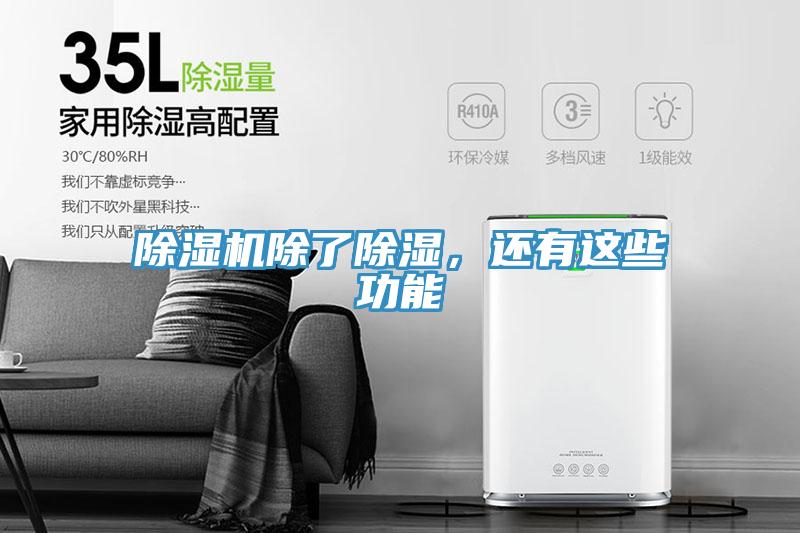 猫咪成人官网除了除湿，还有这些功能