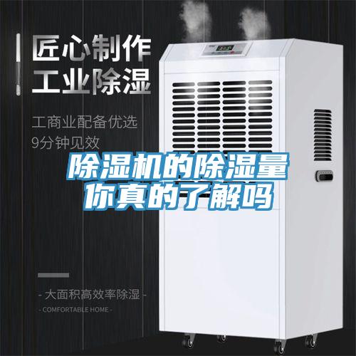 猫咪成人官网的除湿量你真的了解吗