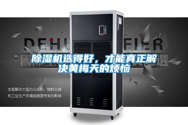 猫咪成人官网选得好，才能真正解决黄梅天的烦恼