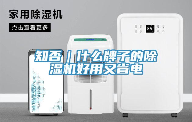 知否｜什么牌子的猫咪成人官网好用又省电