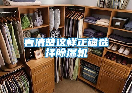 看清楚这样正确选择猫咪成人官网