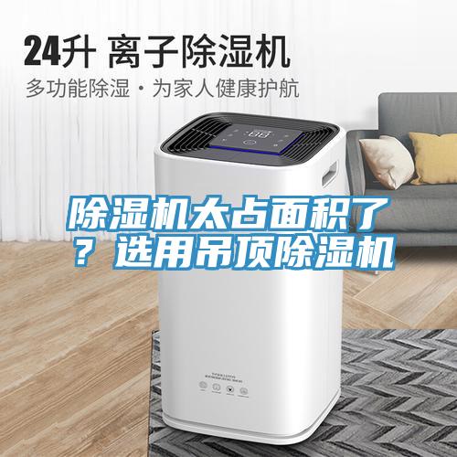 猫咪成人官网太占面积了？选用吊顶猫咪成人官网