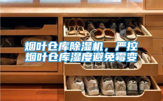 烟叶仓库猫咪成人官网，严控烟叶仓库湿度避免霉变