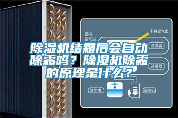 猫咪成人官网结霜后会自动除霜吗？猫咪成人官网除霜的原理是什么？