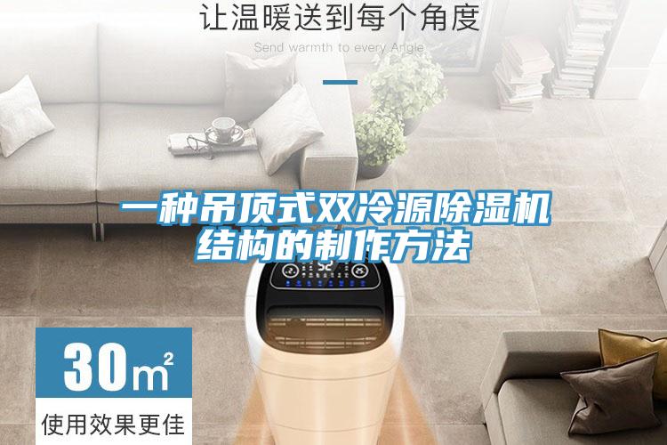一种吊顶式双冷源猫咪成人官网结构的制作方法