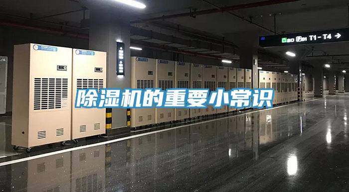 猫咪成人官网的重要小常识