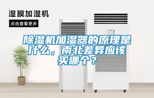 猫咪成人官网加湿器的原理是什么，南北差异应该买哪个？