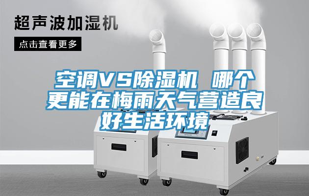 空调VS猫咪成人官网 哪个更能在梅雨天气营造良好生活环境