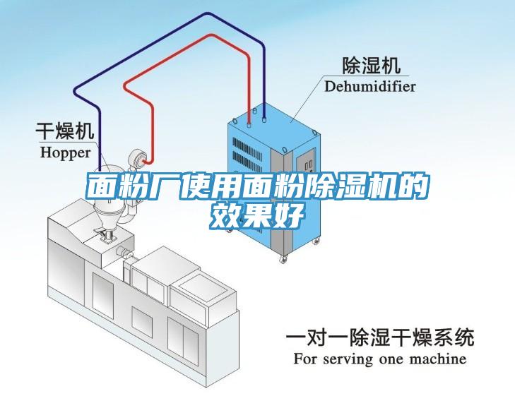 面粉厂使用面粉猫咪成人官网的效果好