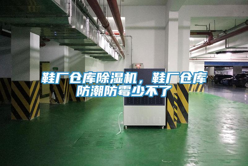 鞋厂仓库猫咪成人官网，鞋厂仓库防潮防霉少不了