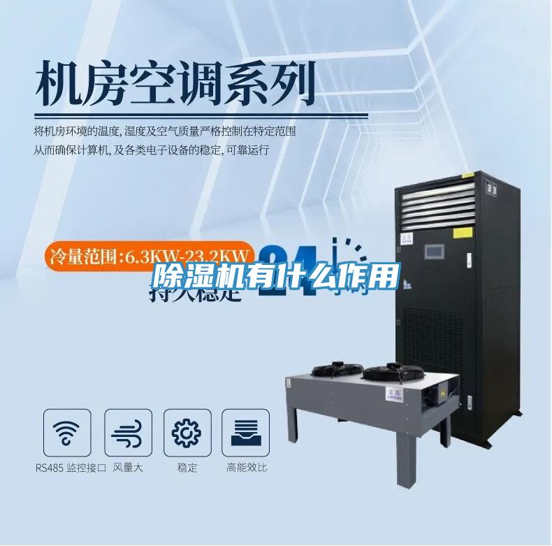 猫咪成人官网有什么作用
