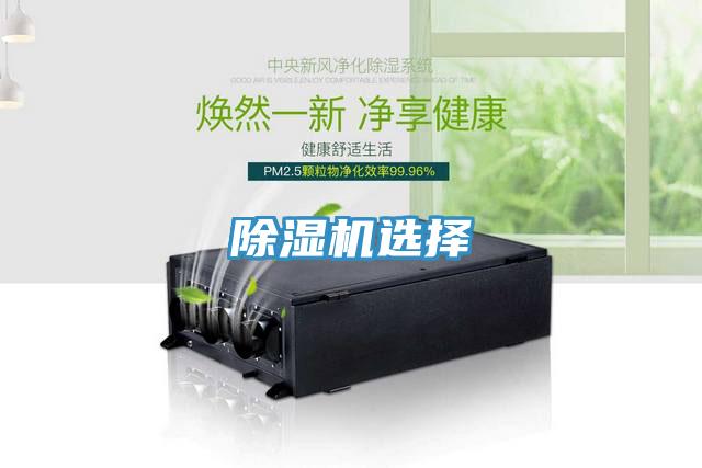 猫咪成人官网选择