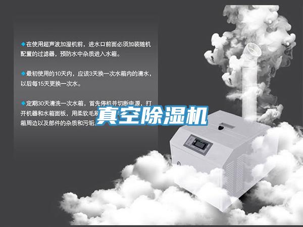 真空猫咪成人官网